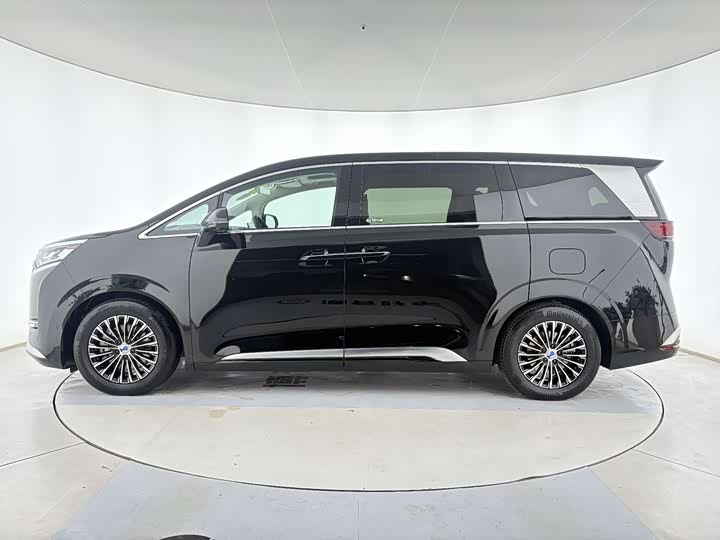 Фото 6 - Denza D9