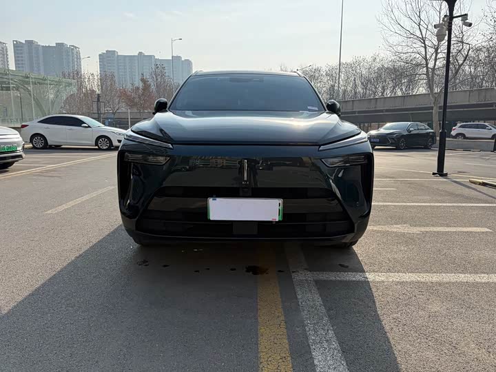 Фото 2 - Wey Lanshan