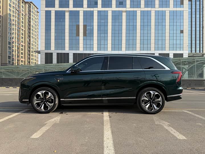 Фото 4 - Wey Lanshan