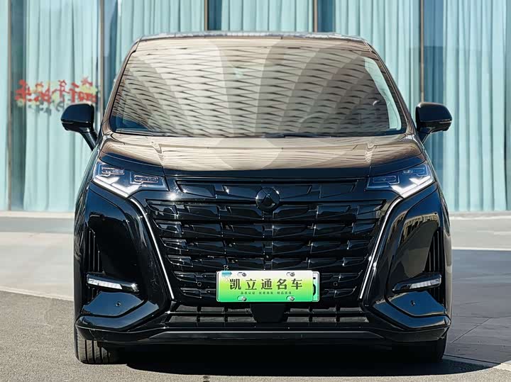 Фото 2 - Denza D9