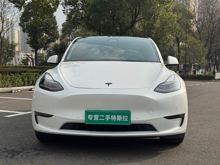 Фото 1 - Tesla Model Y