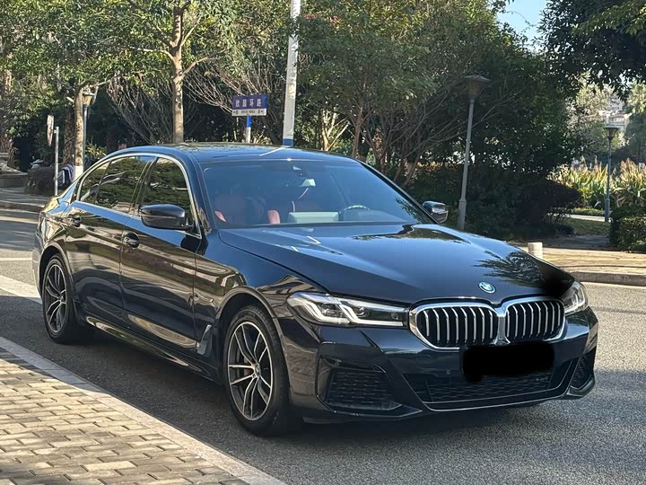 Фото 2 - BMW 5 Series Hybrid