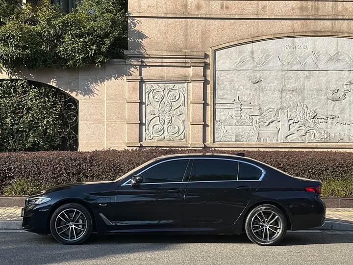 Фото 7 - BMW 5 Series Hybrid