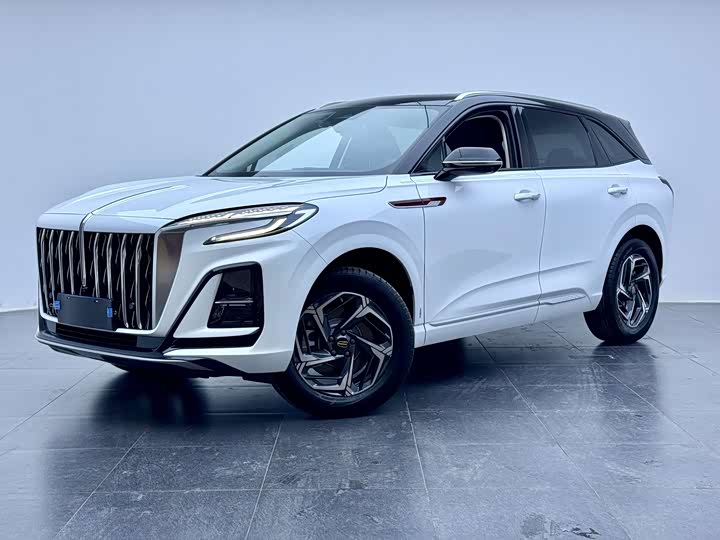 Фото 1 - Hongqi HS3