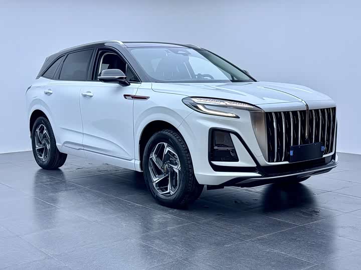 Фото 3 - Hongqi HS3
