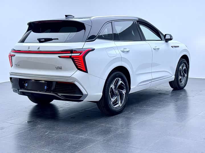 Фото 4 - Hongqi HS3