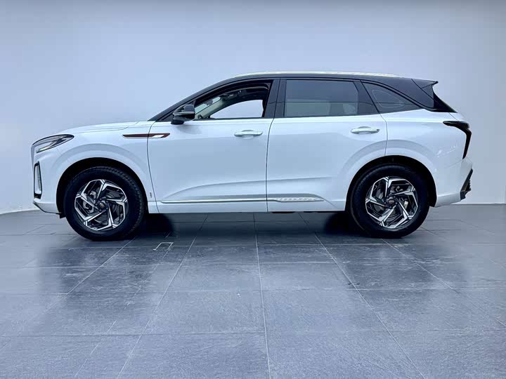 Фото 6 - Hongqi HS3