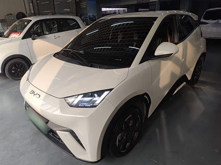 Фото 1 - BYD Seagull