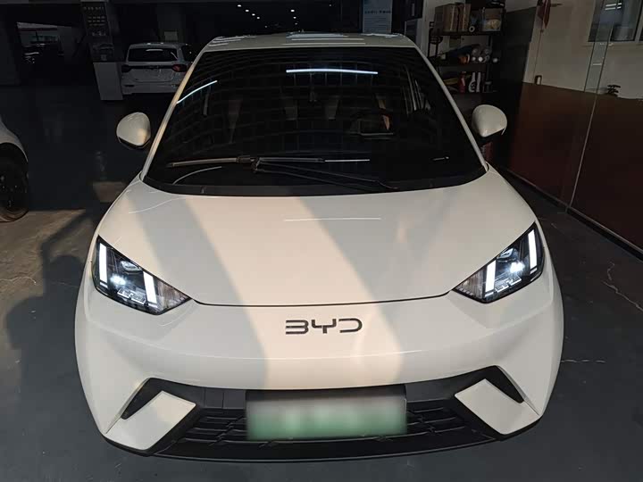 Фото 3 - BYD Seagull