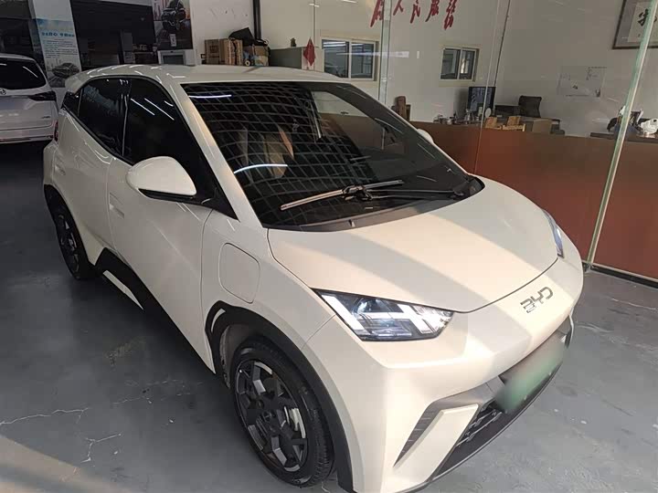 Фото 4 - BYD Seagull