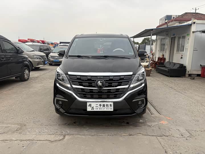 Фото 2 - Dongfeng Forthing M7