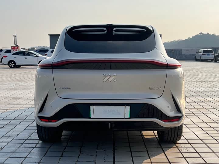 Фото 5 - IM motors LS7