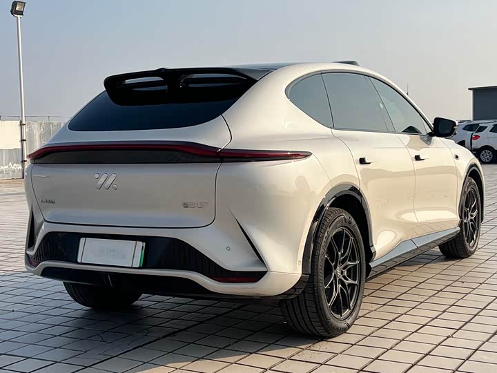 Фото 6 - IM motors LS7