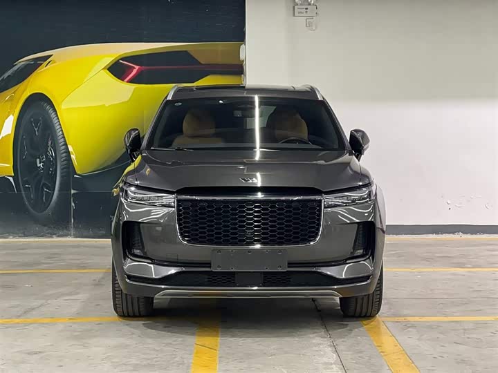 Фото 2 - LiXiang One