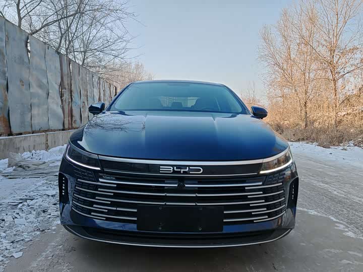 Фото 2 - BYD Destroyer 05