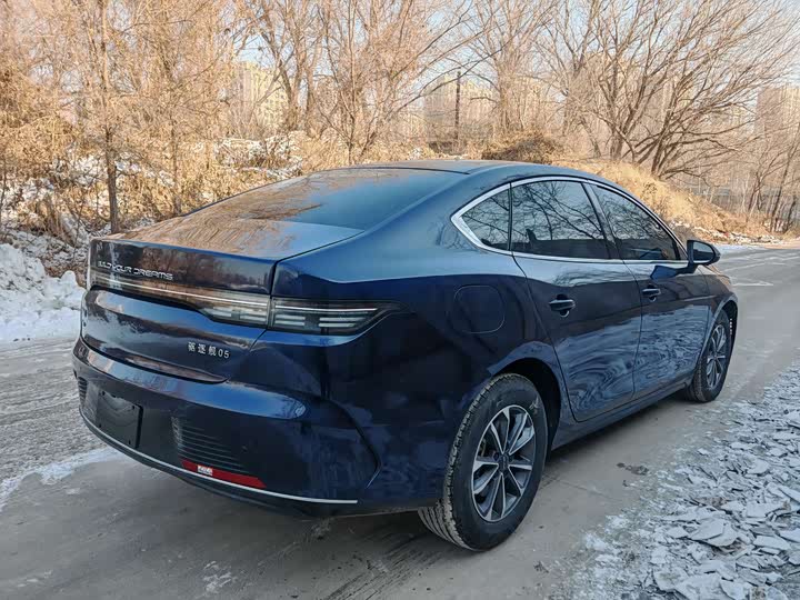 Фото 6 - BYD Destroyer 05