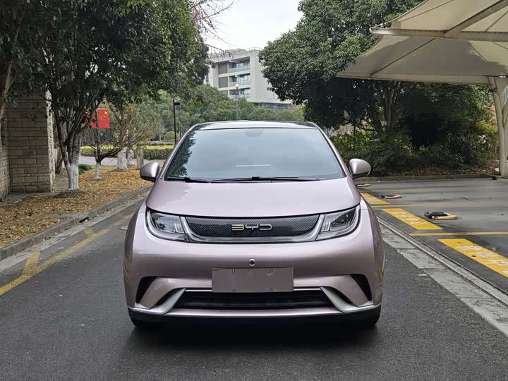 Фото 2 - BYD Dolphin