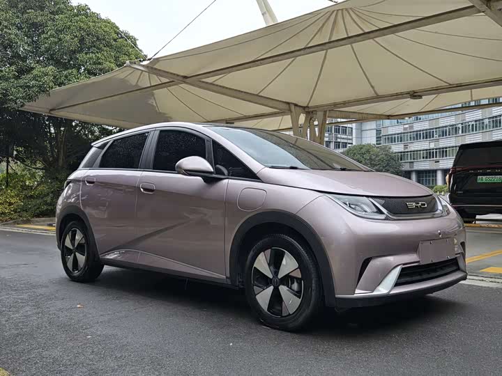 Фото 3 - BYD Dolphin