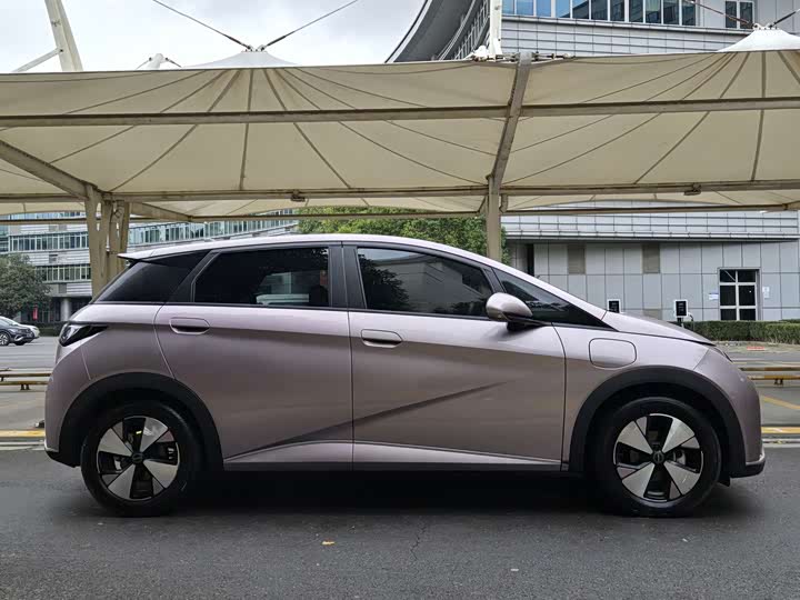 Фото 4 - BYD Dolphin