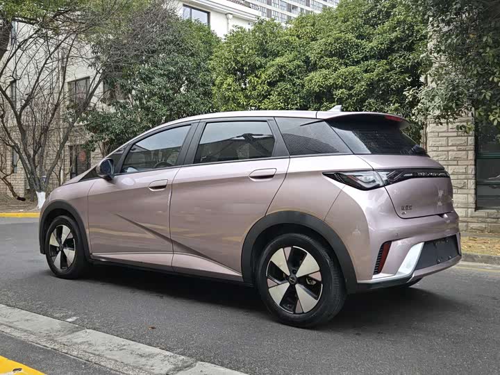 Фото 7 - BYD Dolphin