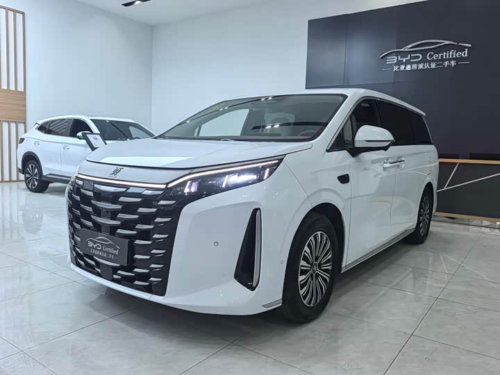 Фото 1 - BYD Xia