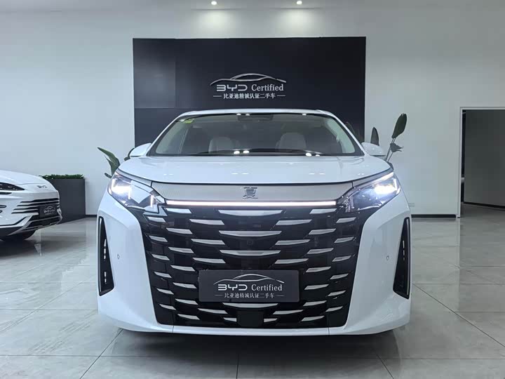 Фото 2 - BYD Xia