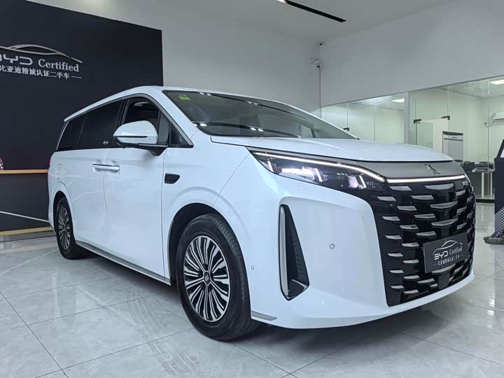 Фото 4 - BYD Xia