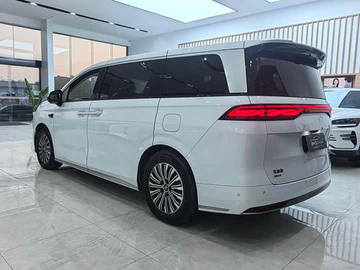 Фото 8 - BYD Xia