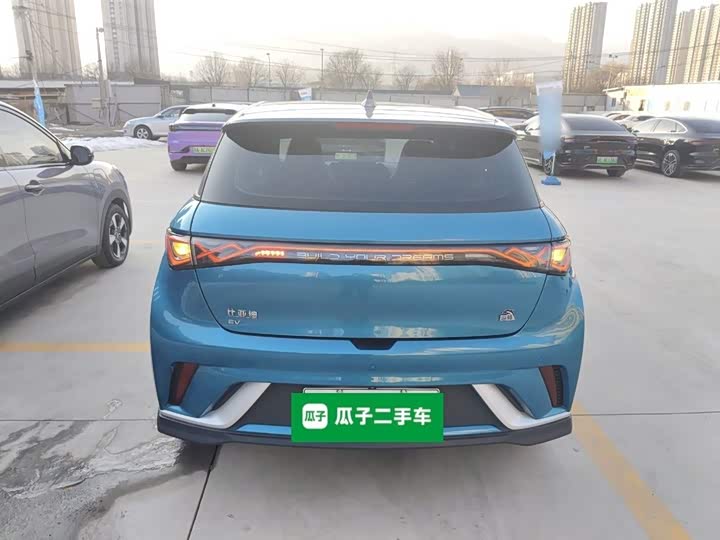 Фото 6 - BYD Dolphin