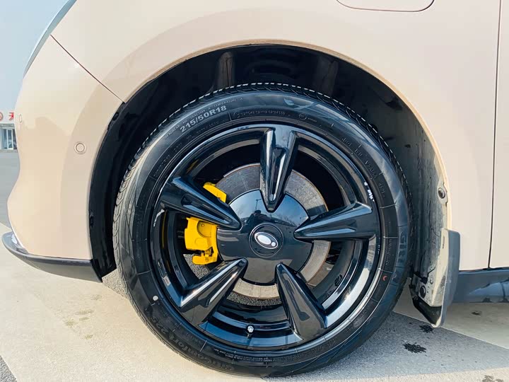 Фото 3 - Ora Good Cat (03)