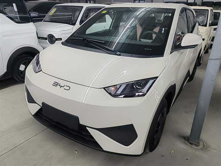 Фото 1 - BYD Seagull