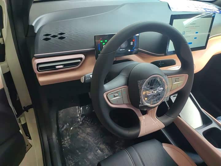 Фото 3 - BYD Seagull