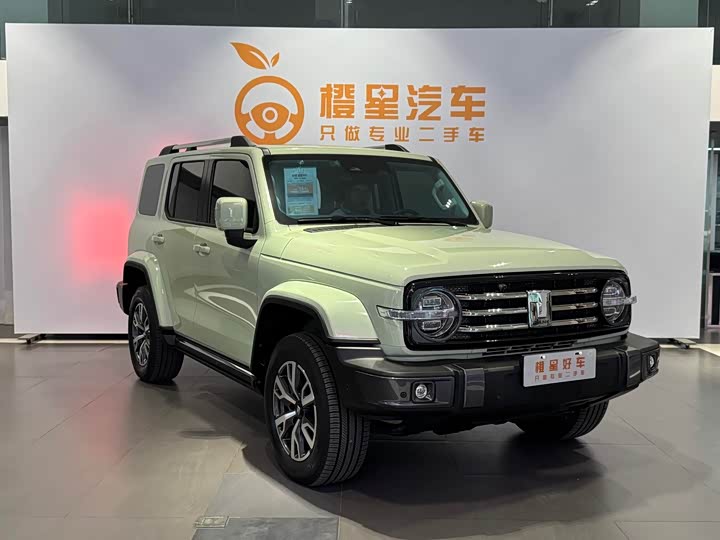 Фото 3 - Tank 300