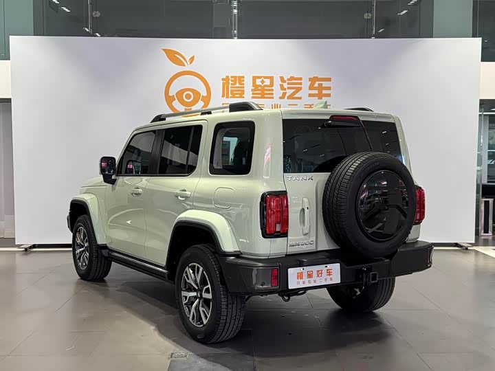 Фото 6 - Tank 300