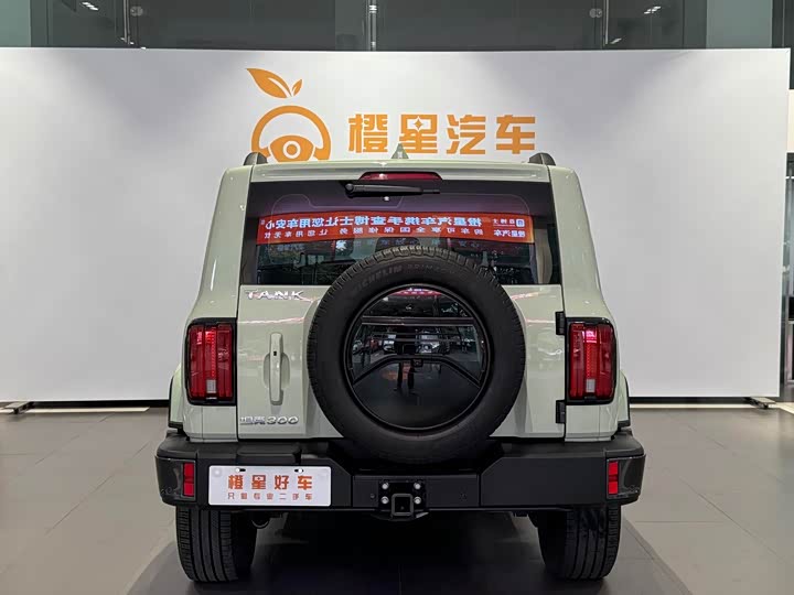 Фото 7 - Tank 300