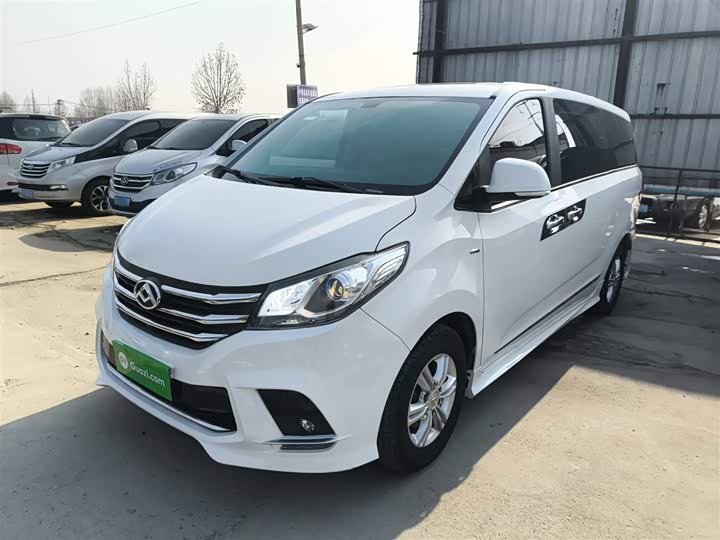 Фото 1 - Maxus G10