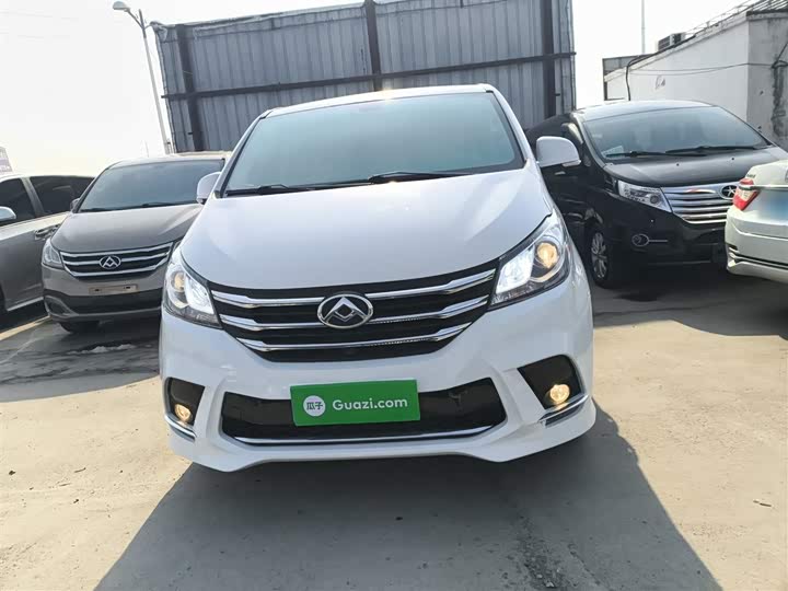 Фото 3 - Maxus G10