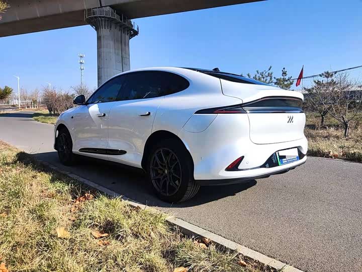 Фото 7 - IM motors LS6