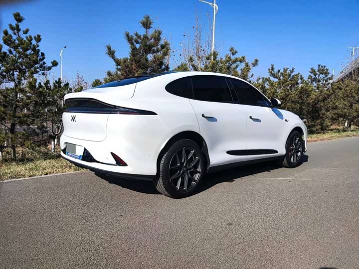 Фото 8 - IM motors LS6