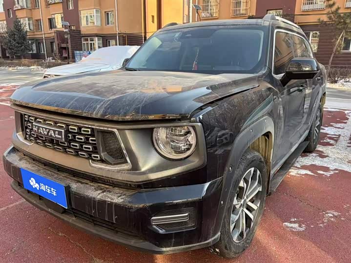 Фото 2 - Haval H-Dog