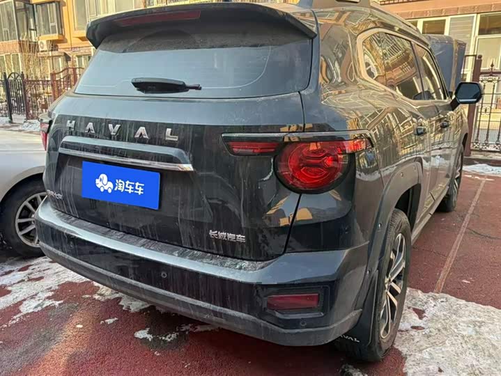 Фото 3 - Haval H-Dog