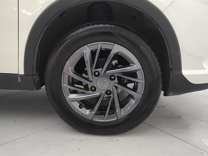 Фото 6 - Hozon V