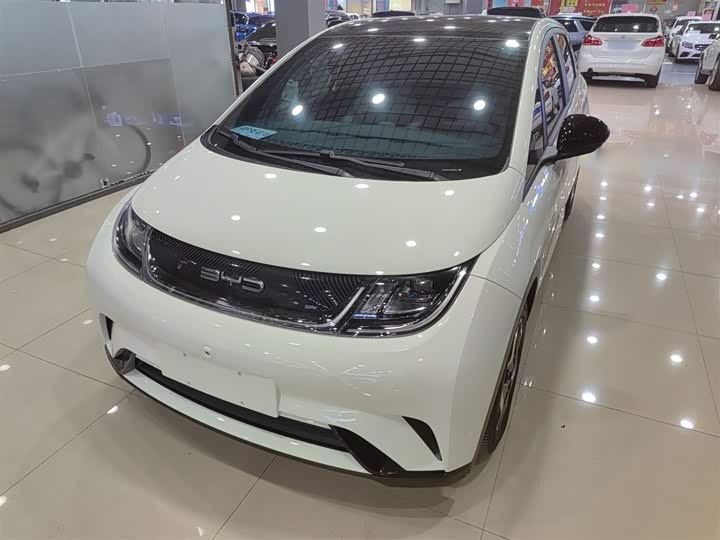 Фото 1 - BYD Dolphin