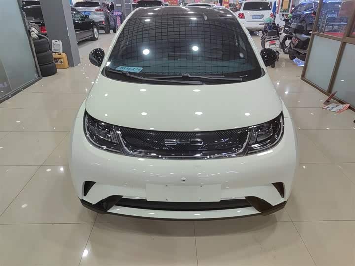 Фото 3 - BYD Dolphin