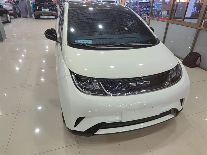 Фото 4 - BYD Dolphin