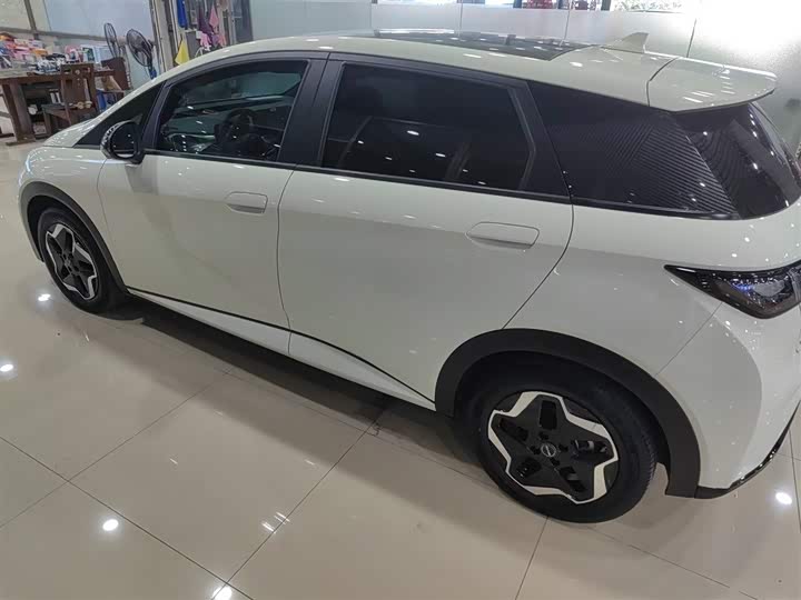 Фото 5 - BYD Dolphin