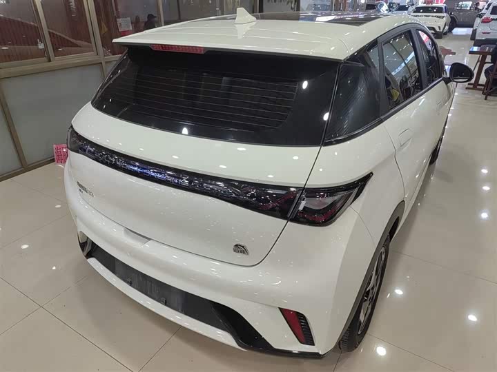 Фото 7 - BYD Dolphin