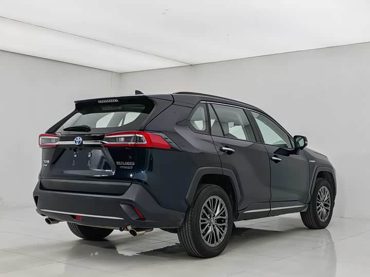 Фото 6 - Toyota Wildlander