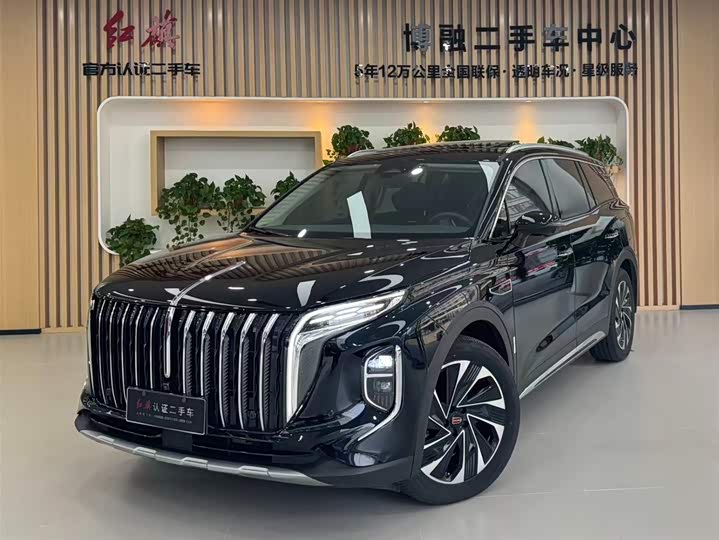 Фото 1 - Hongqi HS7 Hybrid