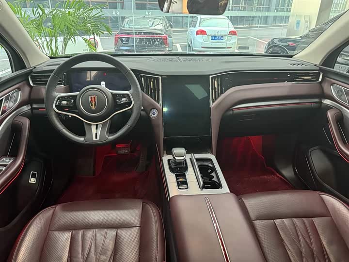 Фото 6 - Hongqi HS7 Hybrid